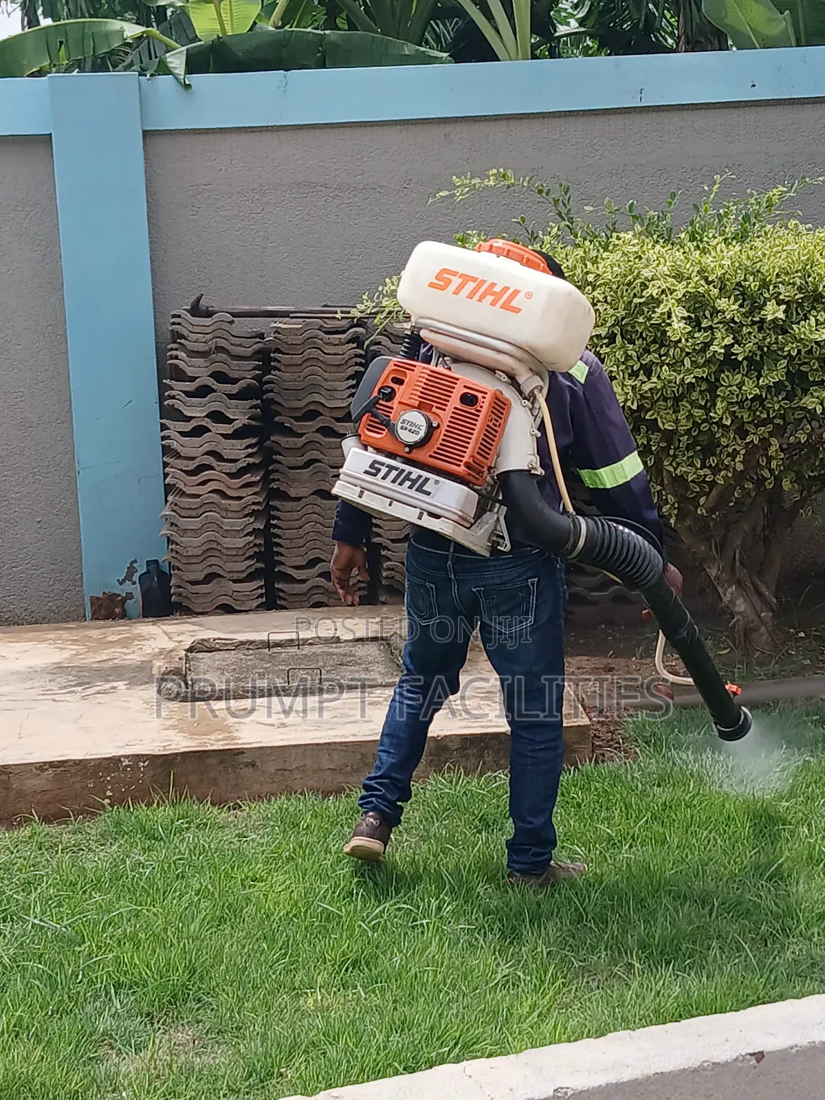 Fumigation of Trees and Flowers