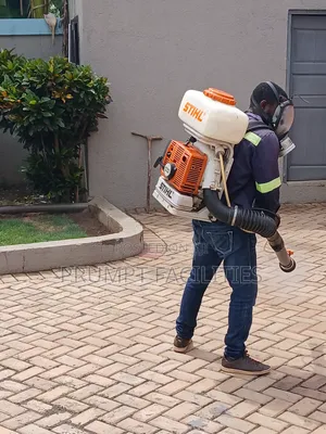Bedbugs Fumigation