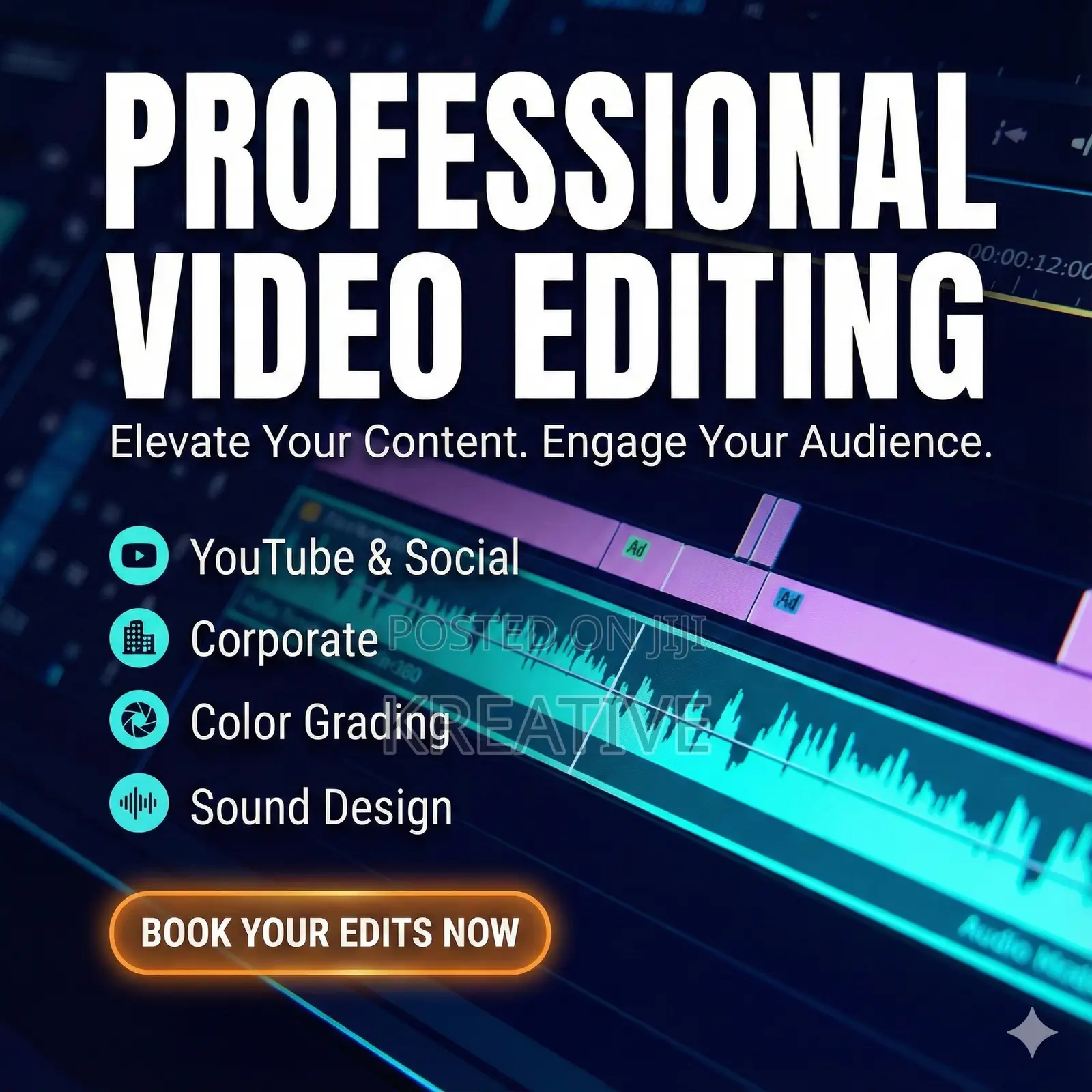 Professional Video Editing
