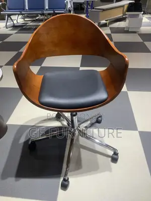 Salon Chairs