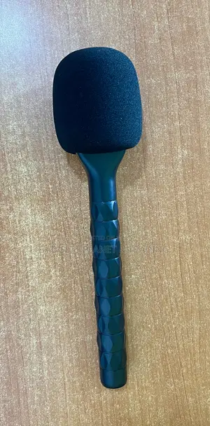 Wireless Lapel Microphone Hand Held Stick