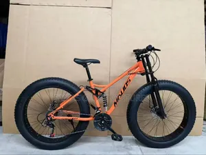 Mountain Bicycle