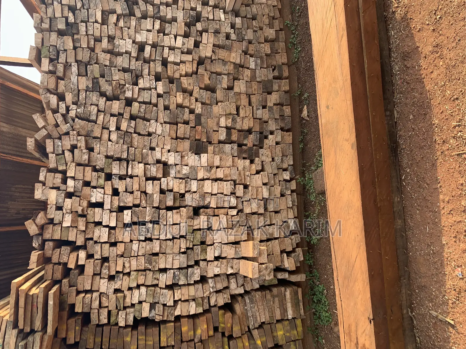 Saw Mail Timber Wood for Construction