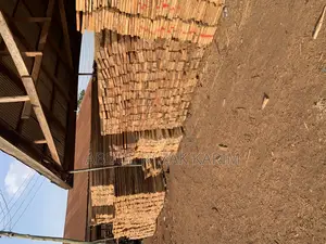 Saw Mail Timber Wood for Construction