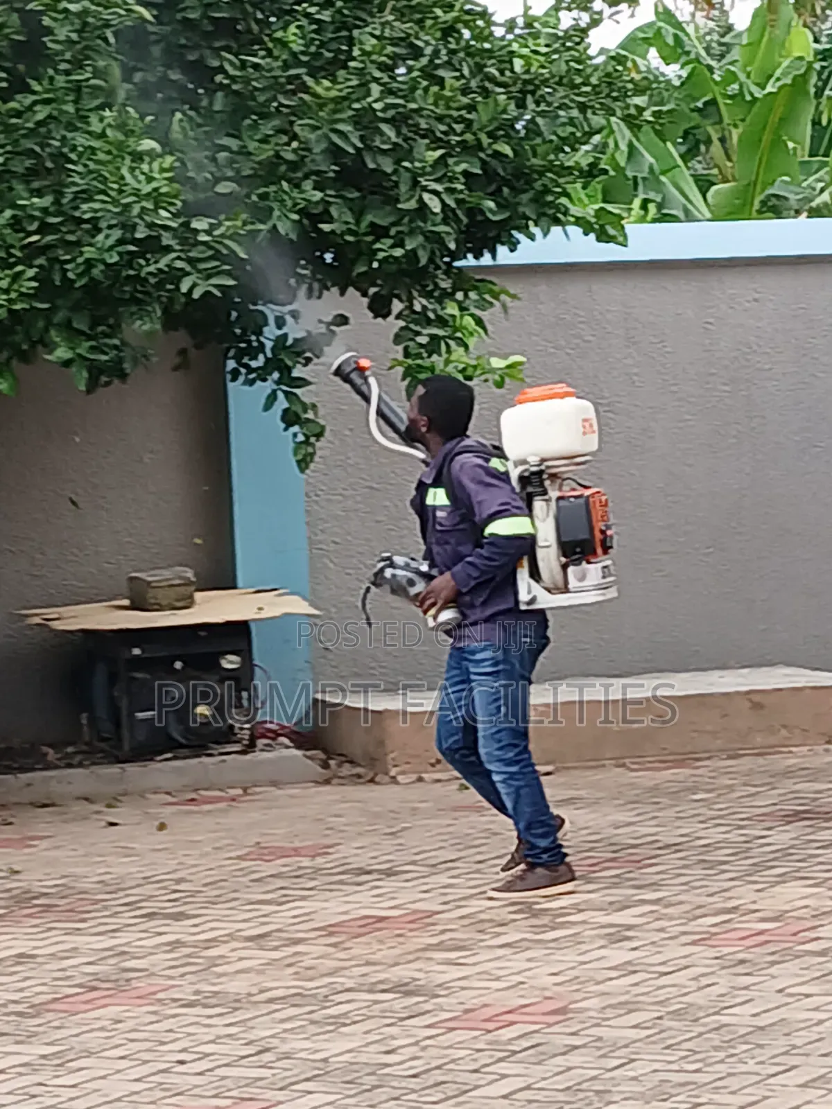 In and Out Door Fumigation