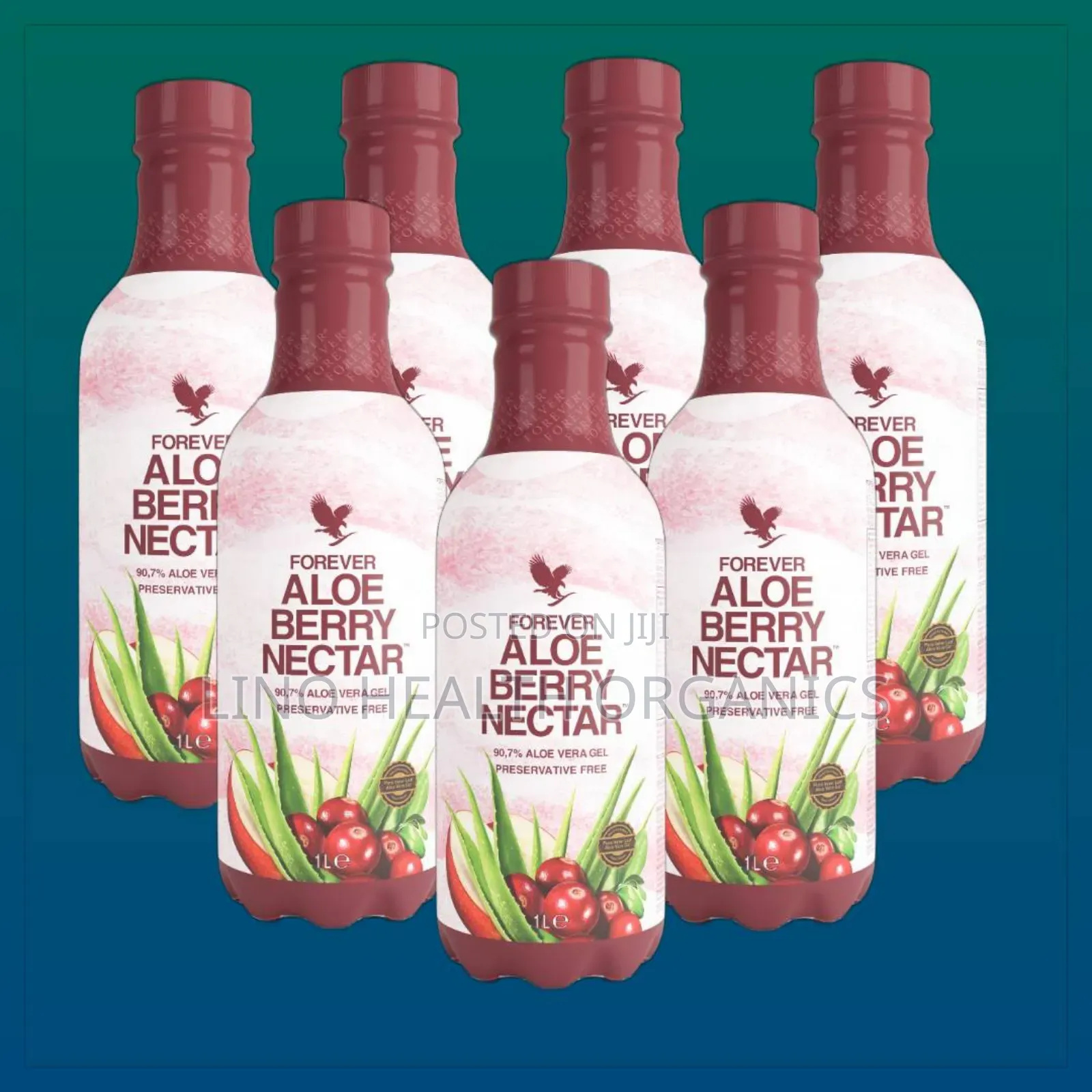 Aloe Berry Nectar | Urinary Tract Health Support