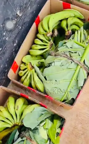 Fresh Local Food Stuffs
