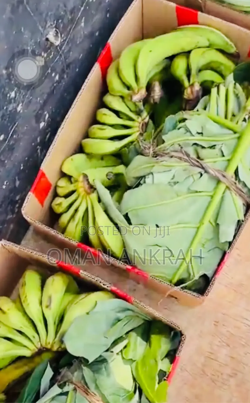Fresh Local Food Stuffs