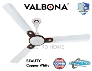 Ceiling Fan Fan