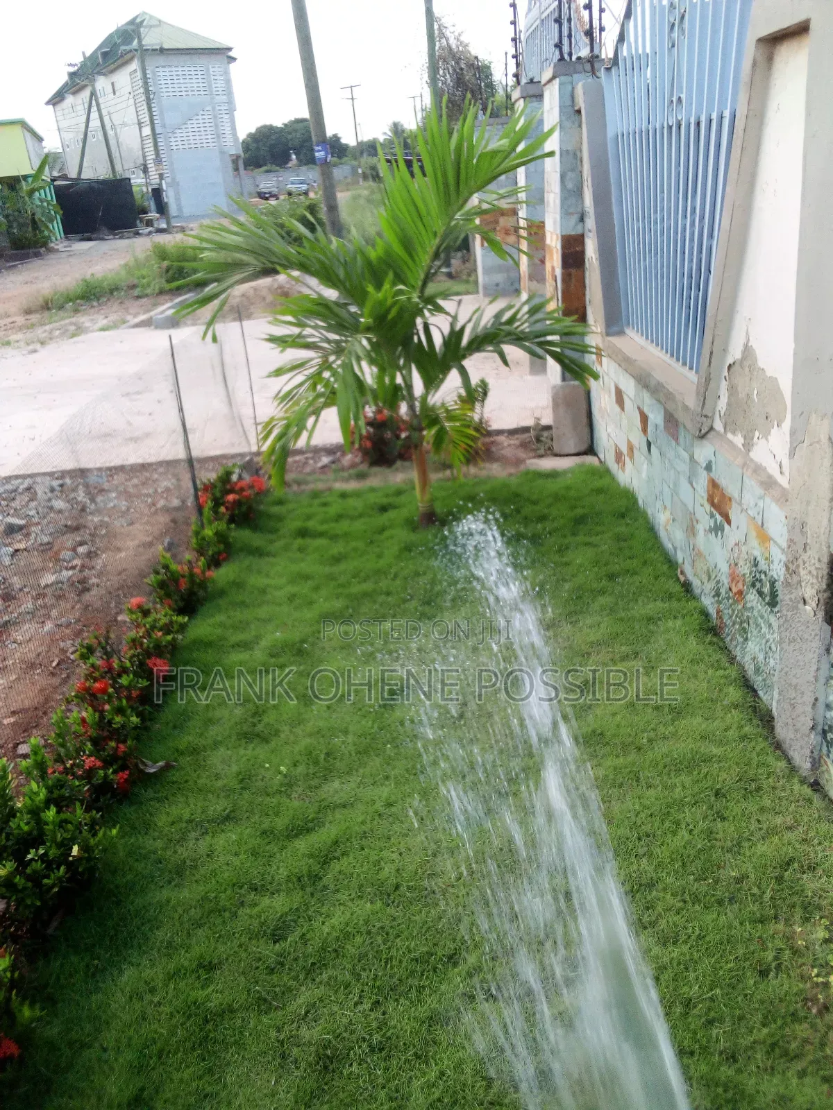We Plant and Maintain Garden Sel Plant/Flowers and Pots