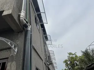 Windows and Doors Canopies