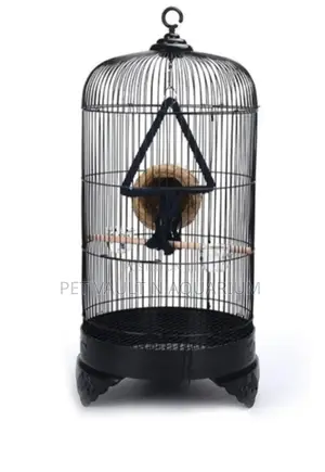 Conical Metallic Bird Cage