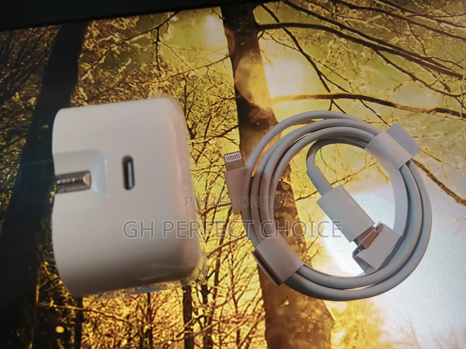 iPhone Type C Fast Charger, 3-pin..