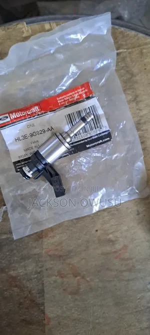Ford F150 2015 Fuel Injectors