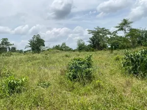 15 Acres Land for Sale* *Location*: Tema Industrial Area,