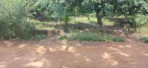 Accra Central (Tudu) Land for Sale* Size:*1.44 Acres*