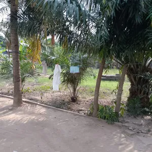 0.83, of an Acre Land Along Avenor to Circle Main Road F