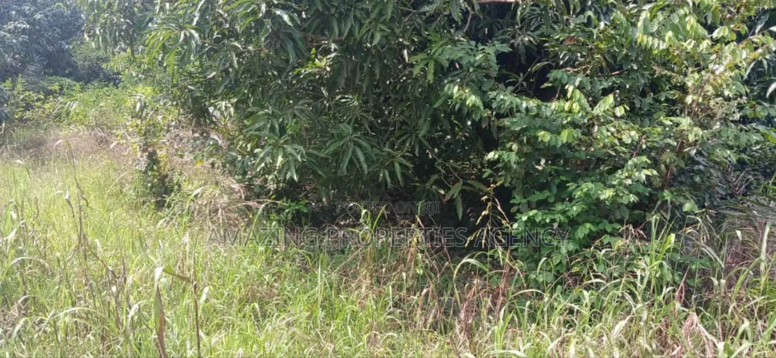 One Acre Land for Sale at Dansoman Around Liberty Stadium.