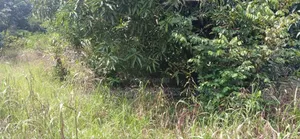 One Acre Land for Sale at Dansoman Around Liberty Stadium.