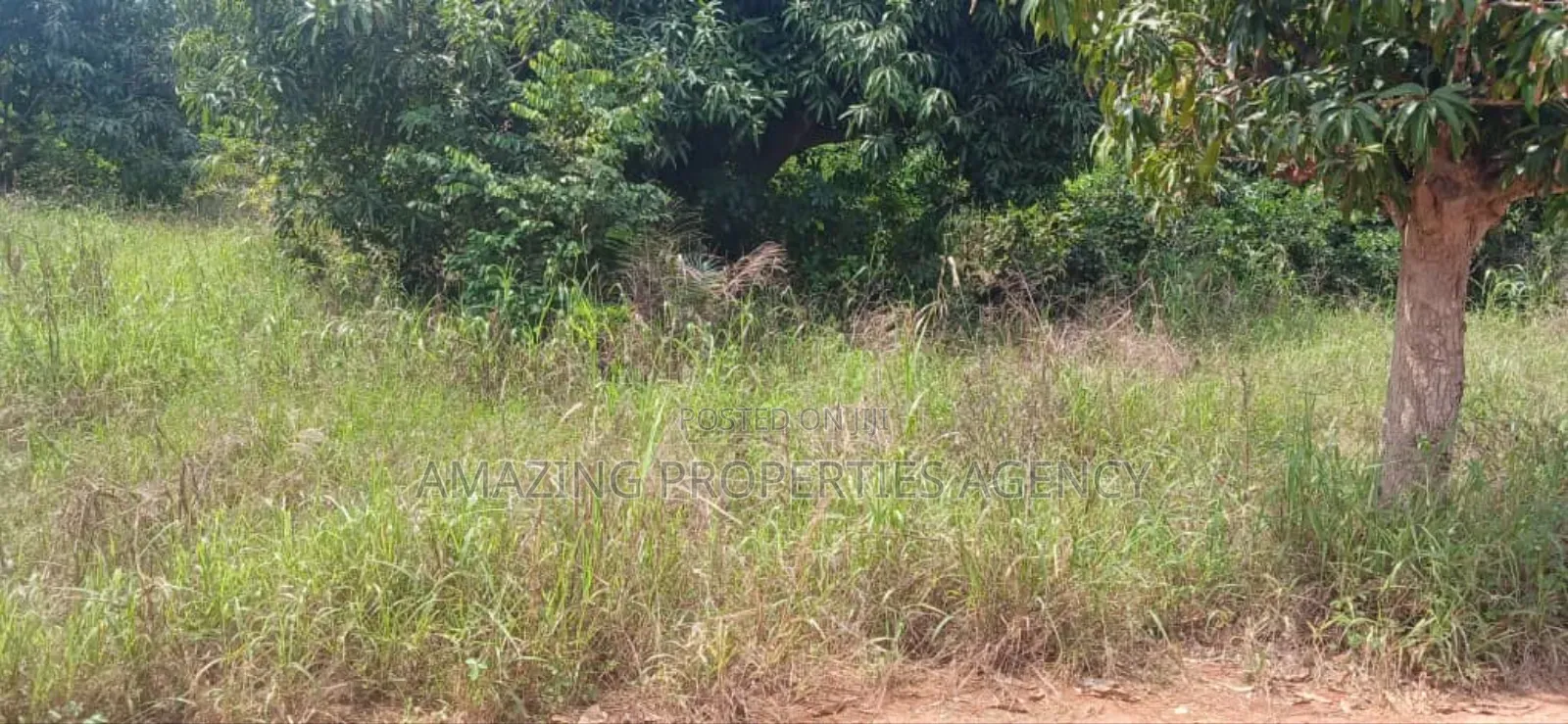 One Acre Land for Sale at Dansoman Around Liberty Stadium.
