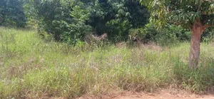 One Acre Land for Sale at Dansoman Around Liberty Stadium.