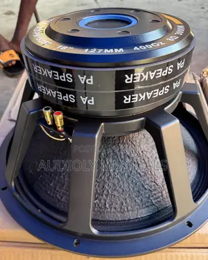 3000watt JLD Double Magnet Naked Speaker