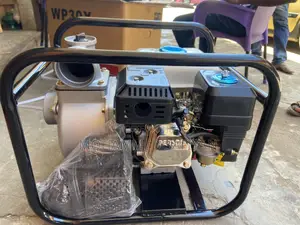 Person Water Pump