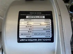 Person Water Pump