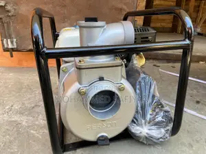 Person Water Pump
