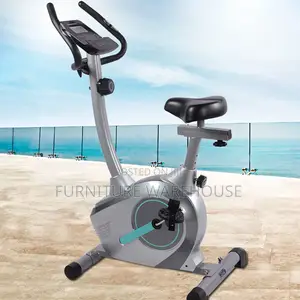 Panaseima Magnetic Exercise Bike