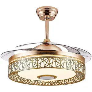 Chandelier Fan Light