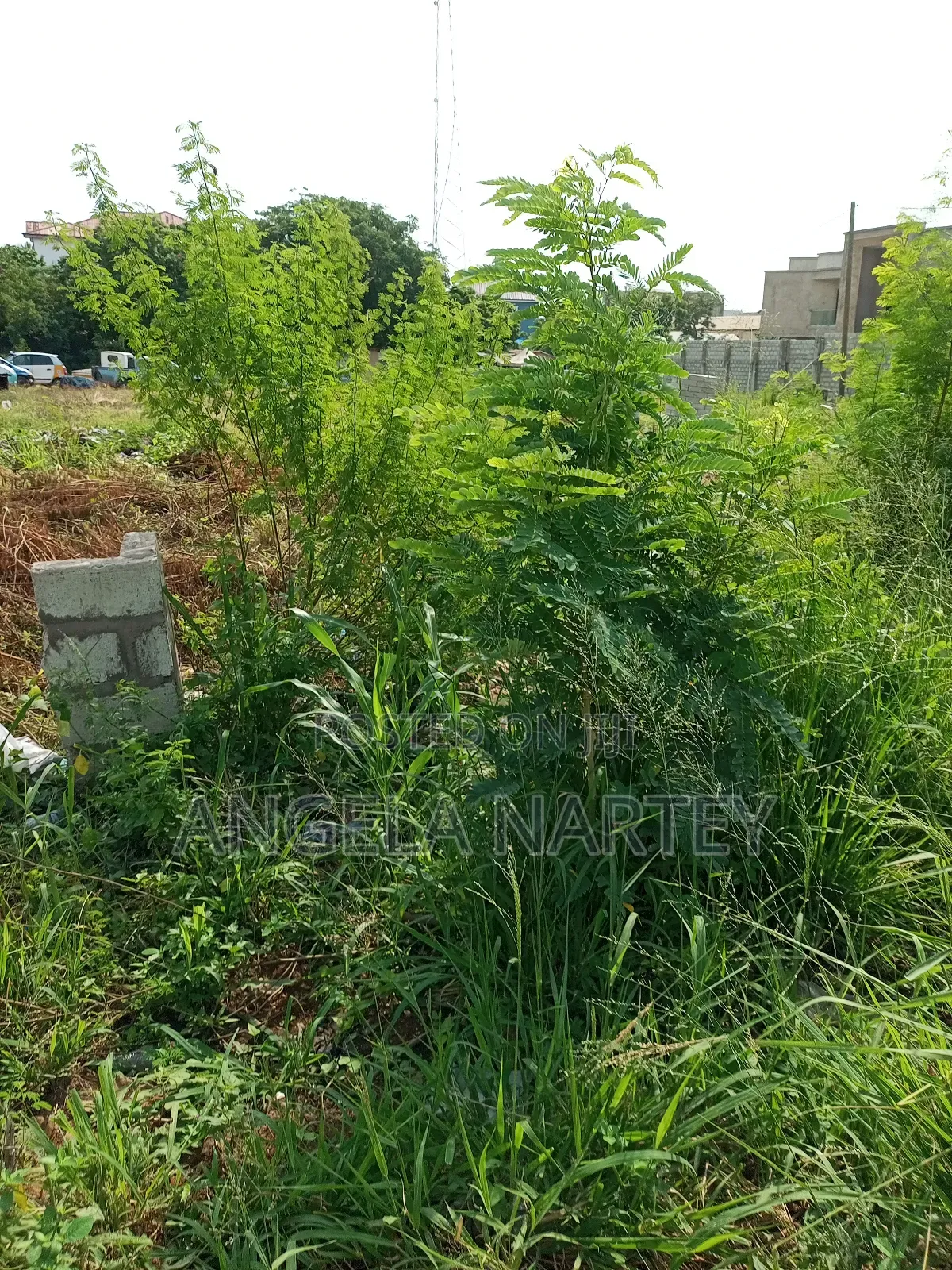 TDC Documented Two Plots at Sakumono Estates