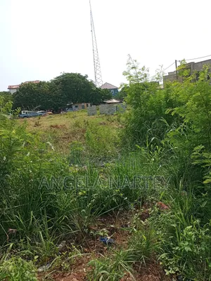 TDC Documented Two Plots at Sakumono Estates