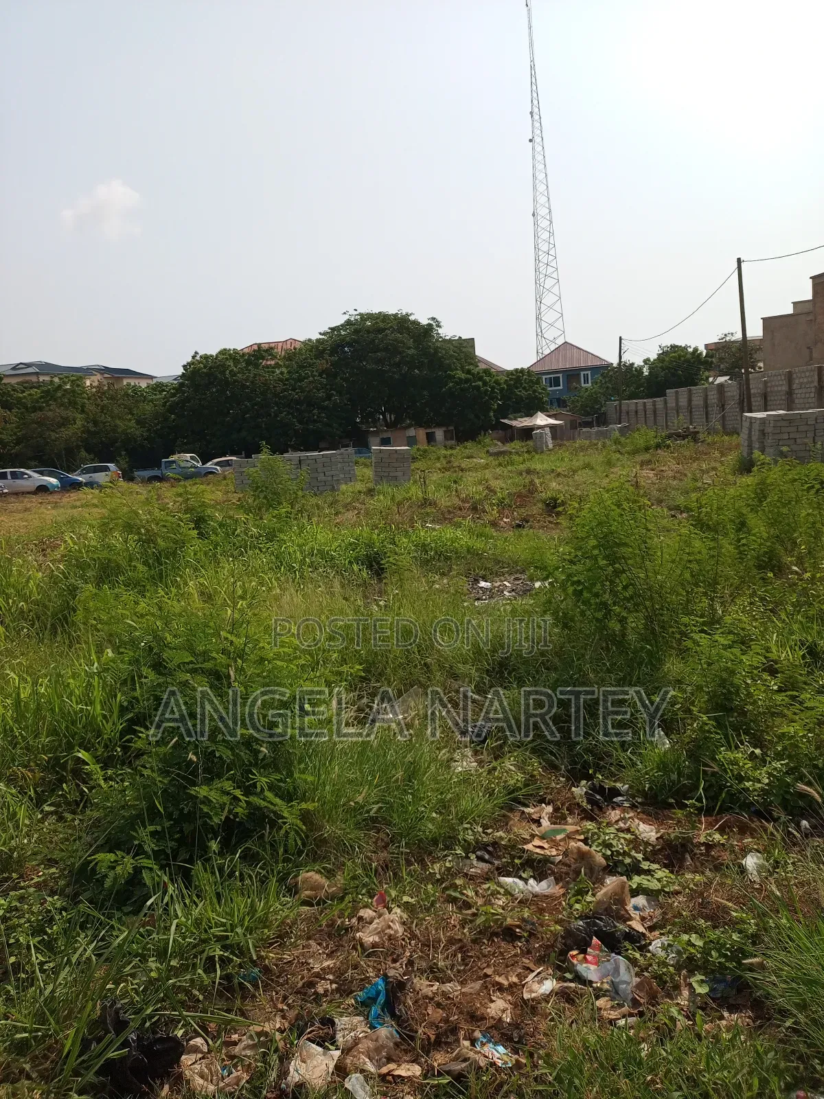 TDC Documented Two Plots at Sakumono Estates