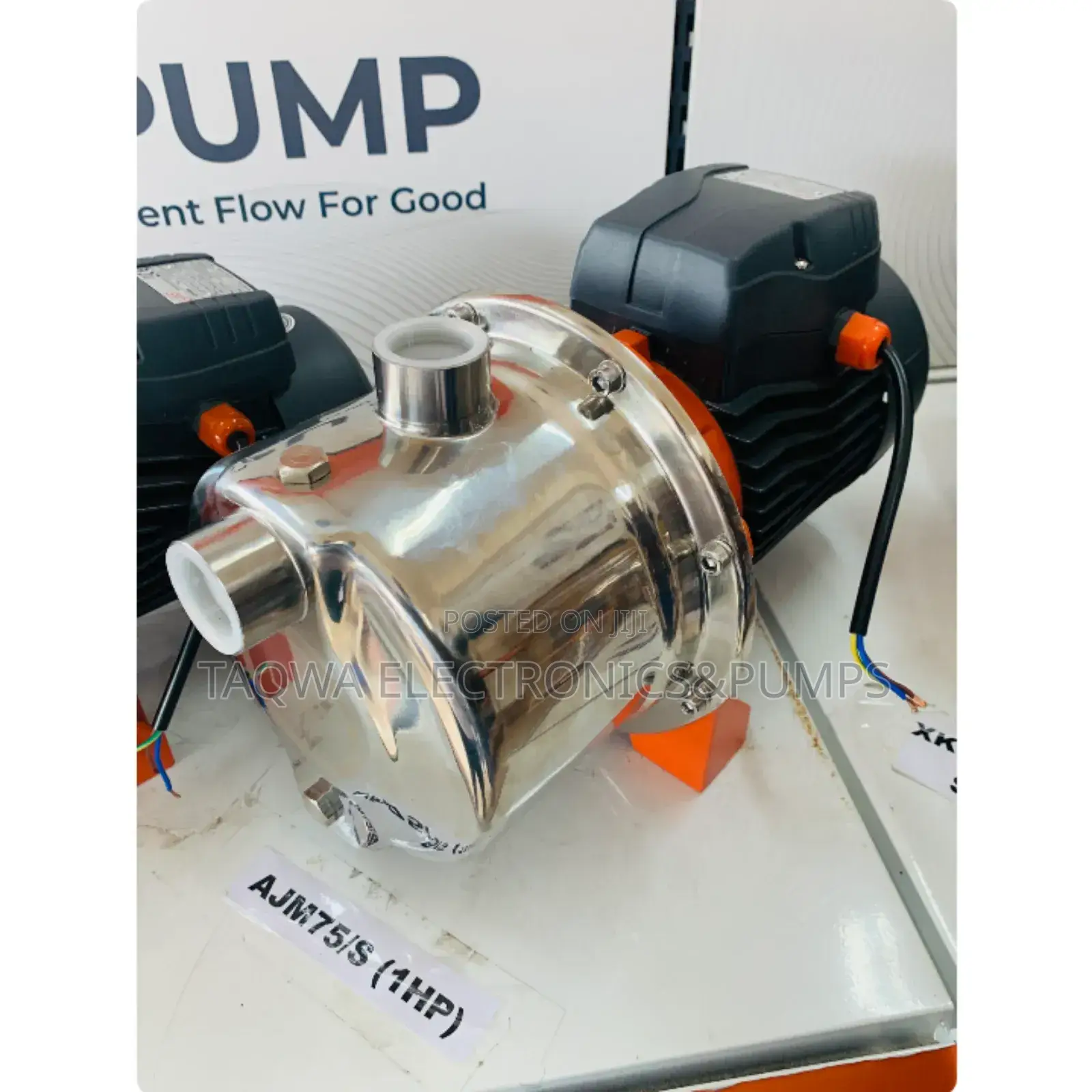 Electric Leo 1hp Stainless Water Pump