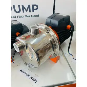 Electric Leo 1hp Stainless Water Pump