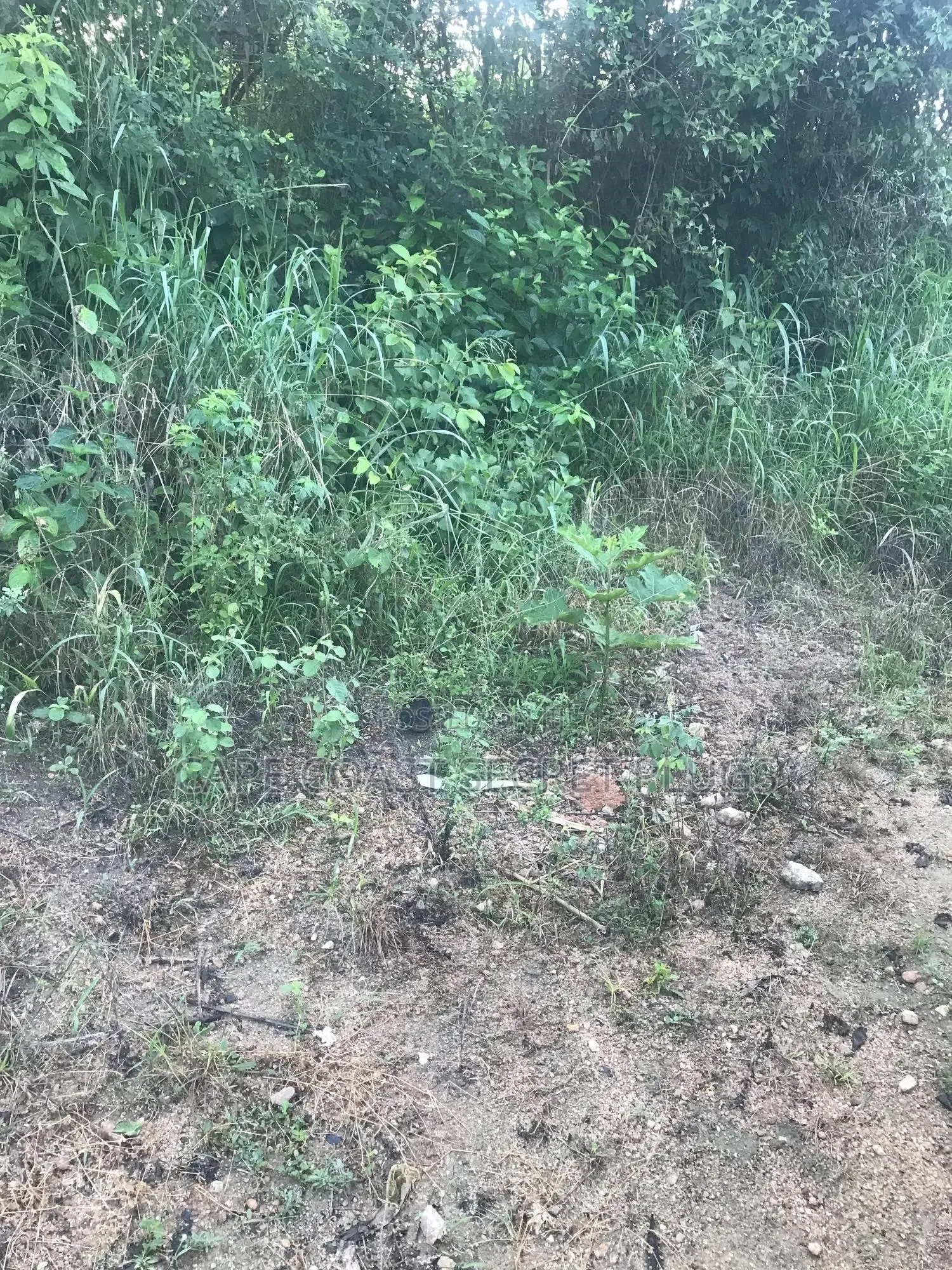 Half Plot Going for Cool Price