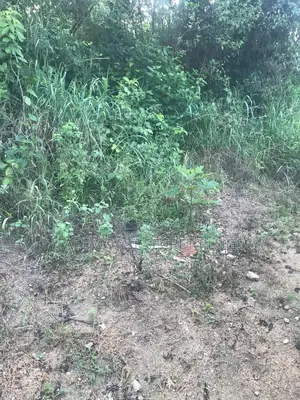 Half Plot Going for Cool Price