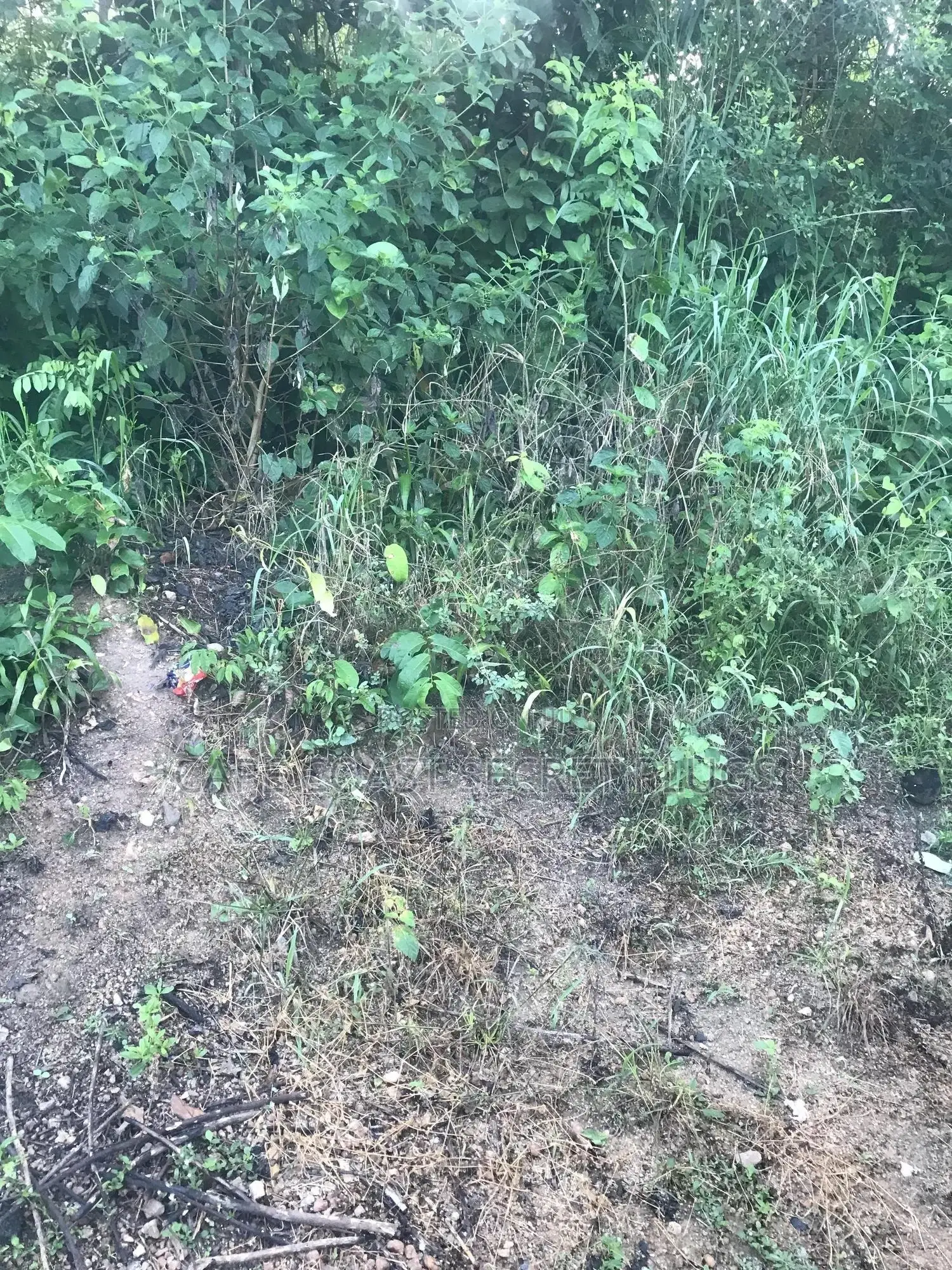 Half Plot Going for Cool Price