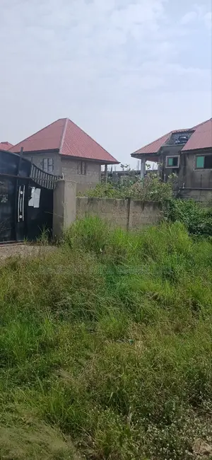 11⁄2 Plots of Land Fenced Together and Registered for Sale