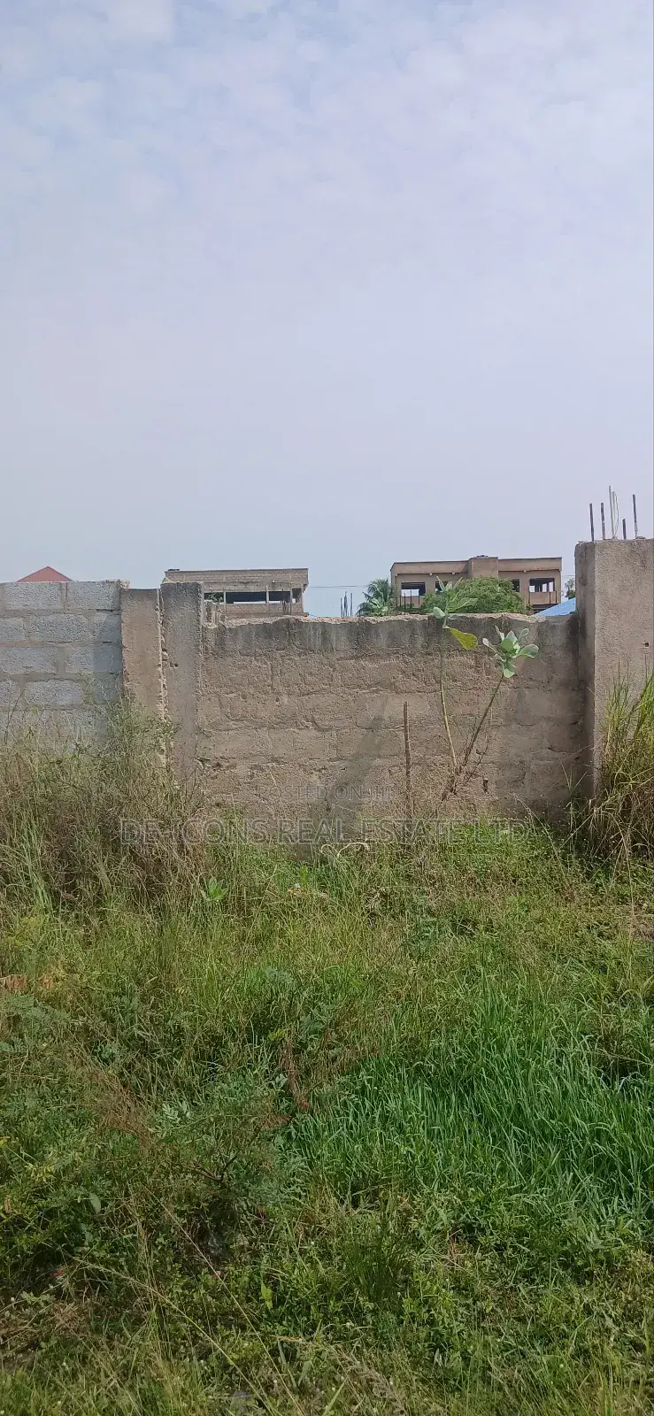 11⁄2 Plots of Land Fenced Together and Registered for Sale