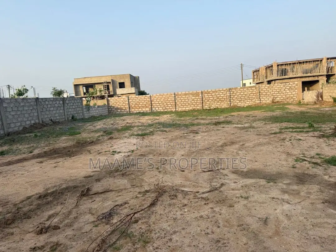70x100 at Lashibi