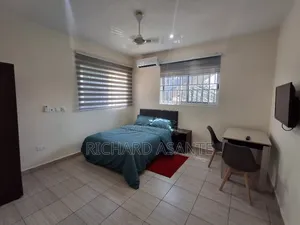 Nice 1 Bedroom Self Contain Airbnb/Short Stay at Kwabenya