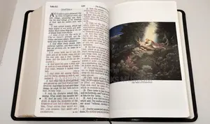 Salman Warner Art Edition Holy Bible: Giant Print Reference