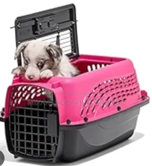 Medium Plastic Dog and Cat Traveller