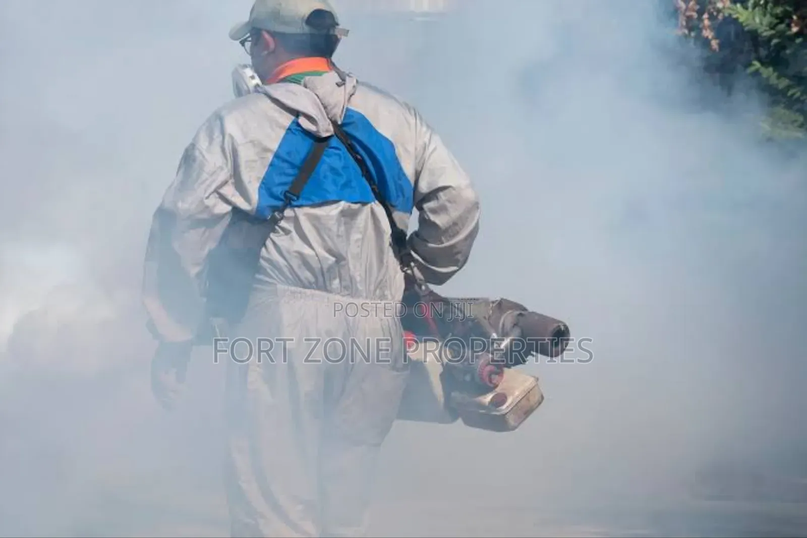 Pest Check Out Fumigation With Cleantex