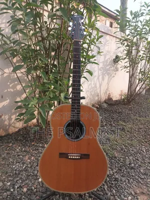Ovation 08371 Customized Acoustic Guitar