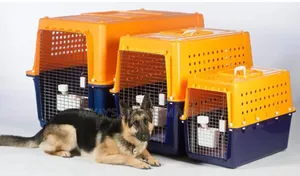 Strong Plastic Dog And Cat Create