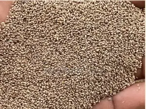 Fonio(Digitaria Exilis)Seeds For Planting, 1kg / 70gh