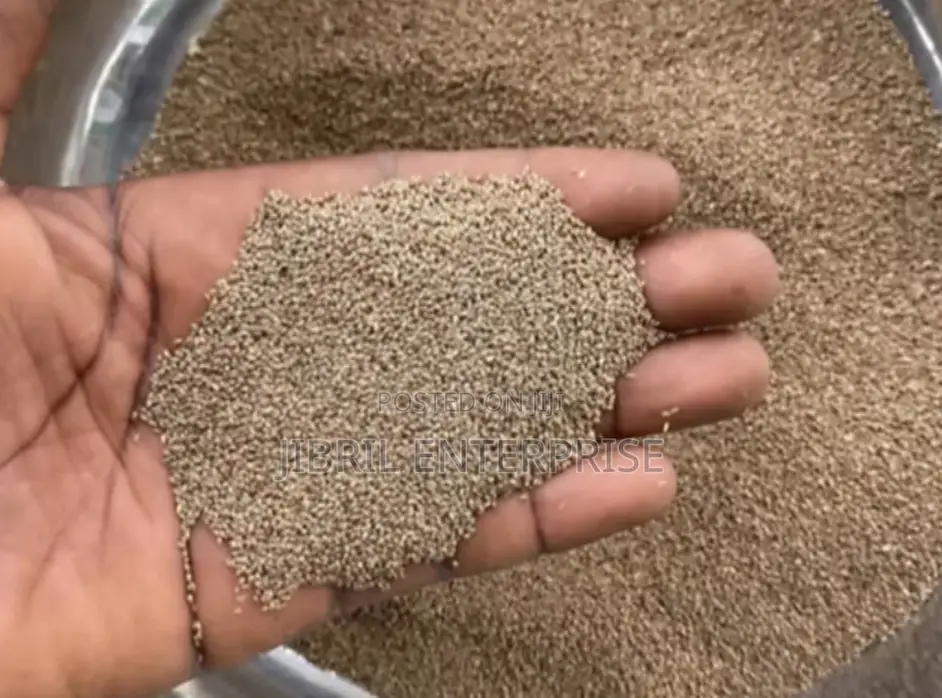 Fonio(Digitaria Exilis)Seeds For Planting, 1kg / 70gh